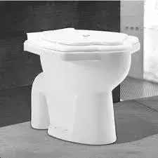 anglo_indian_toilet_seat9[1]-4547873-82168.webp